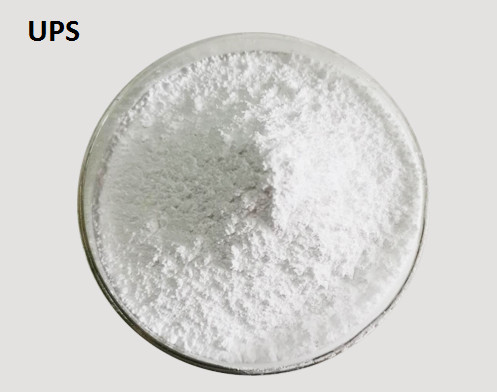 CAS 21668-81-5 3 [(Aminoiminomethyl) Thio] - 1-PR Opanesulfonic Zure C4H10N2O3S2 (van UPS)