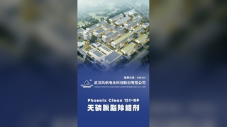 Phoenix Clean 151 NP wasverwijderingsontvetter